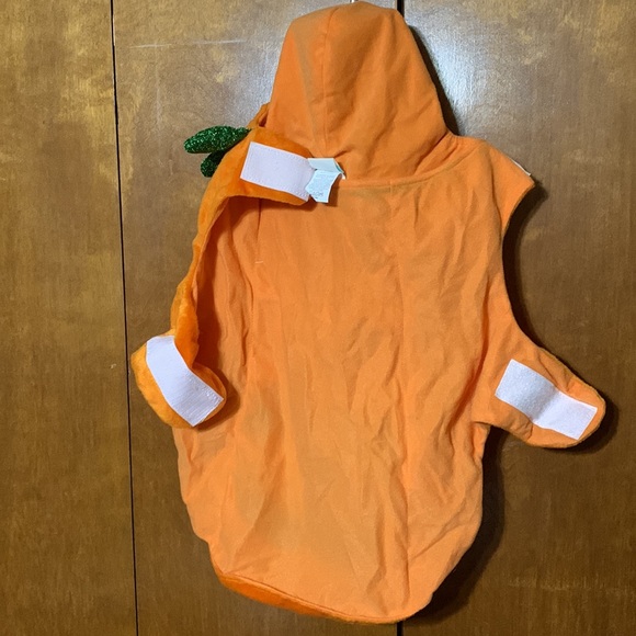 MARTHA STEWART- Large Pumpkin 🎃 Dog Costume - Picture 5 of 6